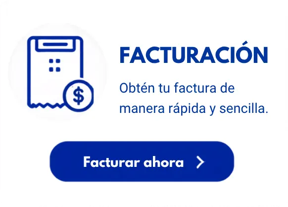 Boton Facturacion